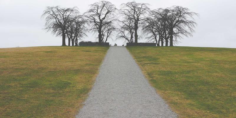 云原生革命:如何重塑软件开发、IT咨询与技术支持的未来格局